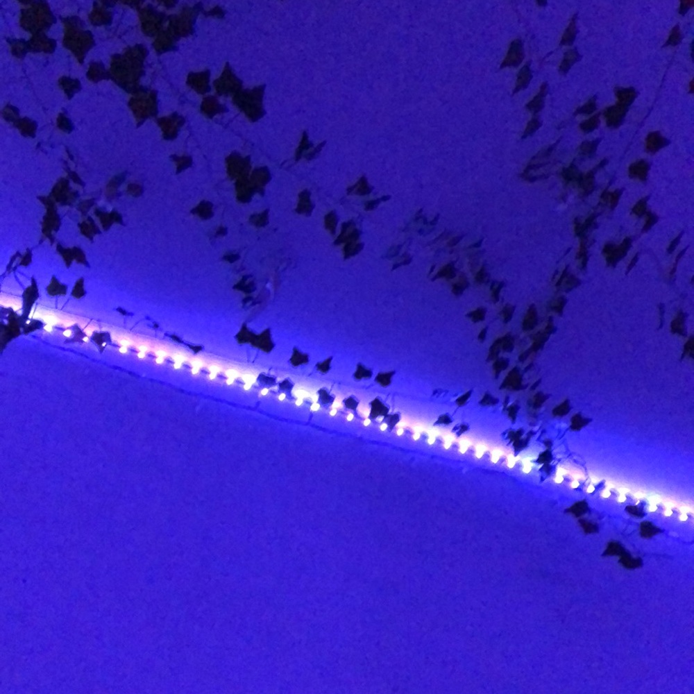 Meet your Posher, Marygrace